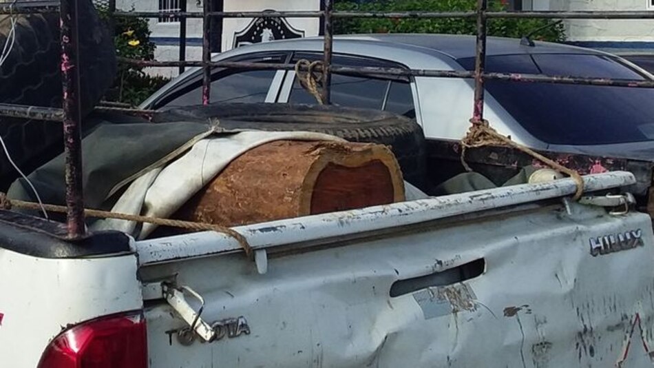 Policía de Los Santos retiene vehículo con madera de cocobolo