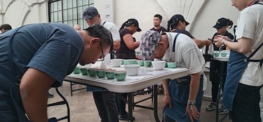 Café de Panamá bate su propio récord en precio durante una subasta electrónica