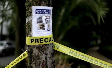 ¿Has visto este perro? Mexicanos buscan a sus mascotas