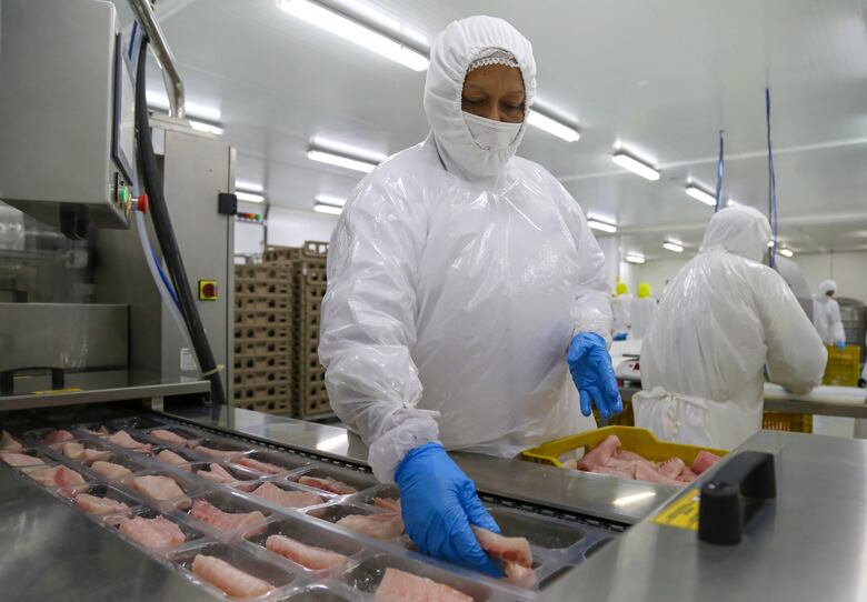 Exportaciones panameñas alcanzaron los $154.7 millones en los primeros dos meses