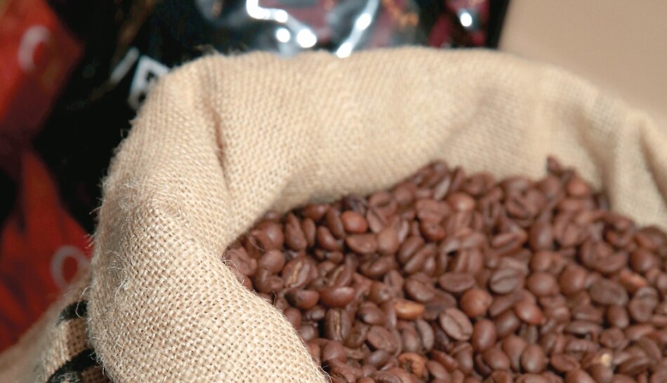 Caficultores exploran Israel