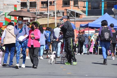 Ciudades bolivianas celebran el Día del Peatón contra la contaminación ambiental