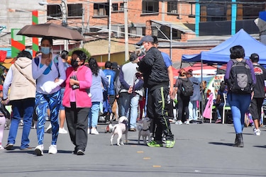 Ciudades bolivianas celebran el Día del Peatón contra la contaminación ambiental