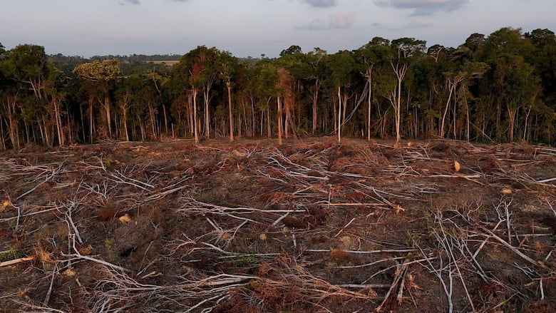 Los gráficos, mapas y fotos que muestran la lenta muerte de la Amazonía y por qué el mundo debería preocuparse