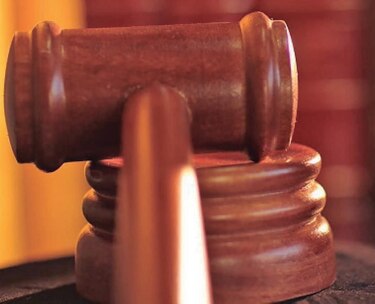 Condenan a tres años de cárcel a una mujer por  'acoso sexual' a un mono