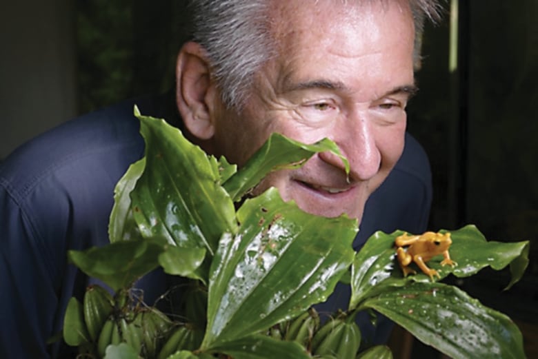 En lo profundo de la naturaleza panameña