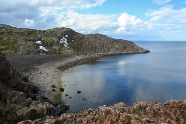 Estudio muestra diferencias de adaptación entre los ecosistemas marinos del norte de Europa