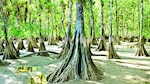 Evaluación ambiental y el cambio climático