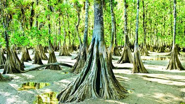 Evaluación ambiental y el cambio climático