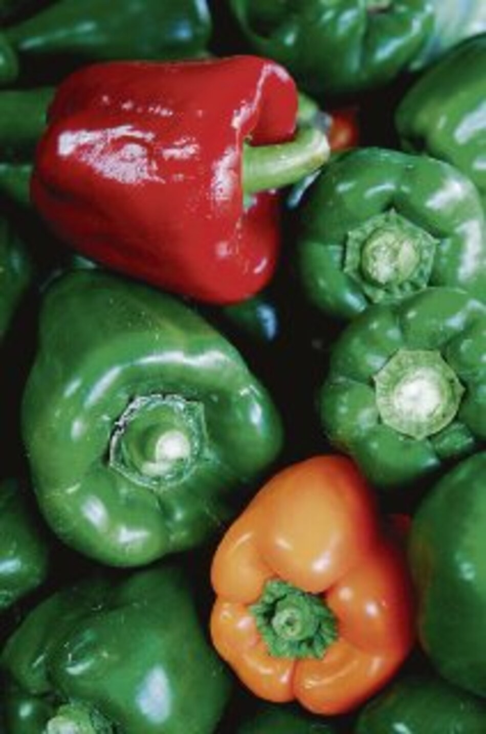 Pimentón chiricano, a un paso de llegar a EU