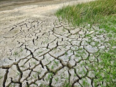 Inseguridad alimentaria y crisis climática requieren acciones colectivas en Centroamérica