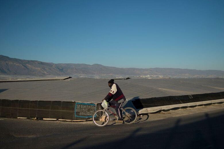 El controvertido ‘Mar de Plástico’ que convirtió la región más árida de España en la huerta de Europa