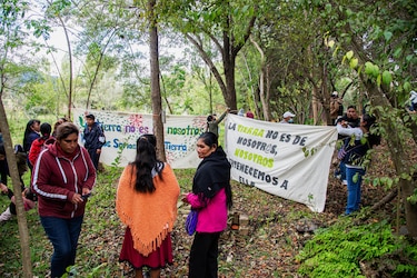 Marchan en sur de México para pedir protección a ecosistemas de agua