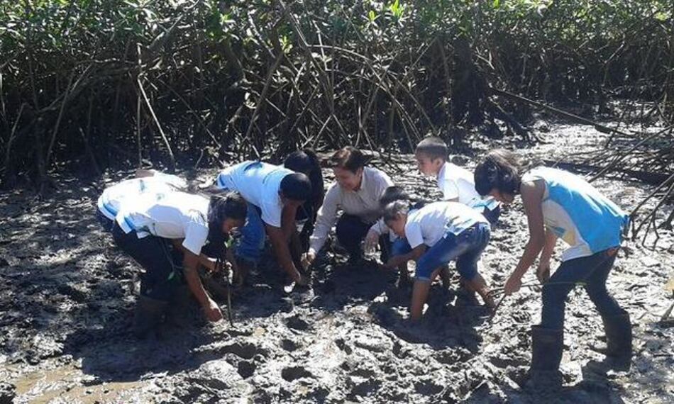 Niños conservan y protegen manglar en Remedios, provincia de Chiriquí