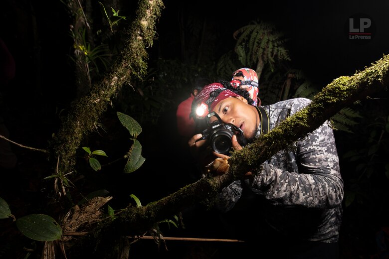 Cerro Chucantí: en busca de ‘Greta Thunberg’ y de los tesoros de las tierras altas del Darién