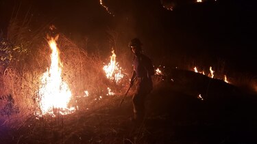 Hasta febrero, los Bomberos han atendido 1,158 incendios de herbazales