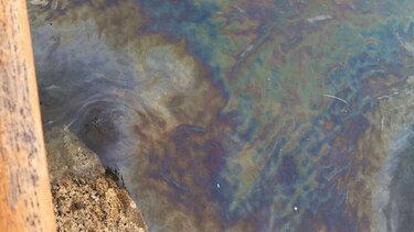 AMP concluye limpieza cerca a la isla de Taboga tras derrame de 'hidrocarburo'