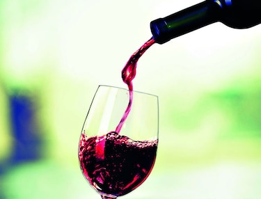 Cata de vinos en Felipe Motta
