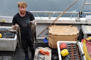 Los pescadores británicos, víctimas de una invasión de pulpos