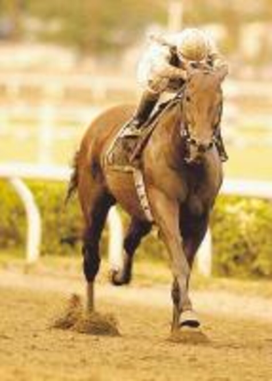 'Cachito' partirá del carril seis