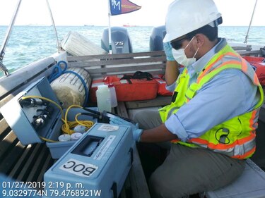 Miambiente y AMP investigan muerte de peces en Amador