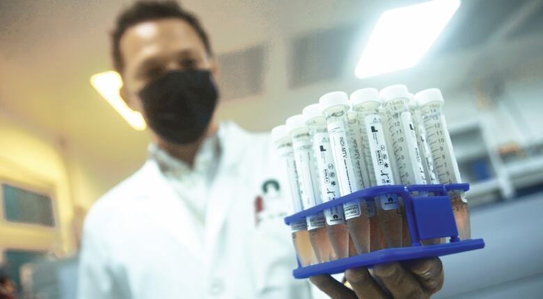 Indicasat: un productor local de medios de transporte viral  