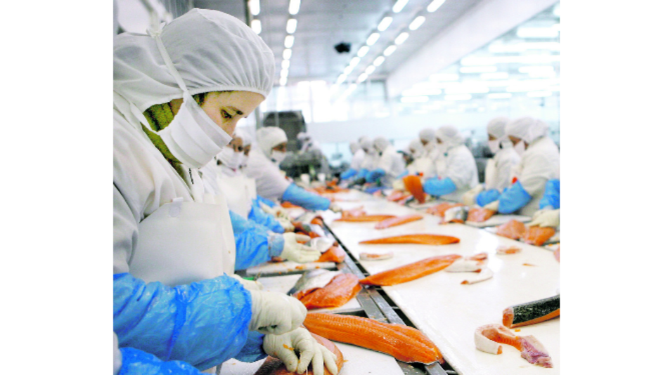 Marea roja causa impacto económico