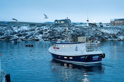 ‘Elegimos a Dinamarca por encima de EU’, dice el primer ministro de Groenlandia ante la presión de Trump para apropiarse de la isla