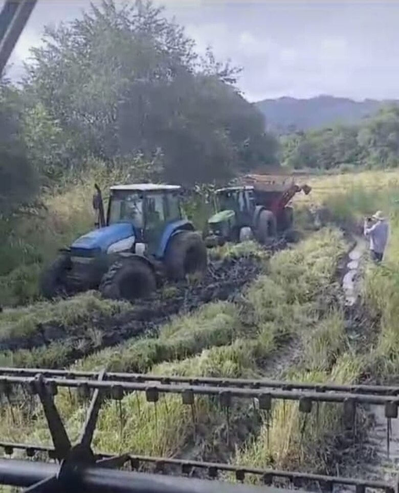 Fuertes lluvias también afectan los cultivos de arroz en Los Santos