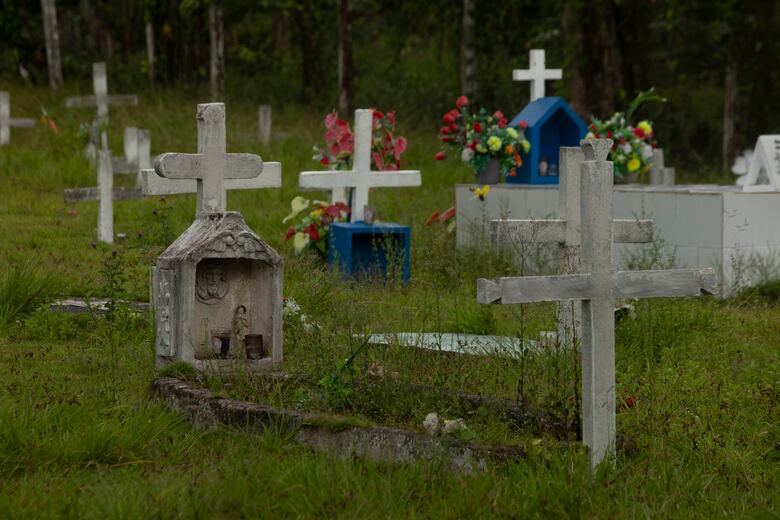 ¿Cuánto cuesta un palo de mango? El relato de un pueblo que se niega a desaparecer