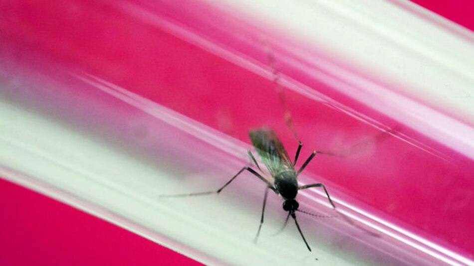 Alerta por zika en Puerto Rico