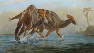 Paleontólogos mexicanos identifican nueva especie de dinosaurio pacífico