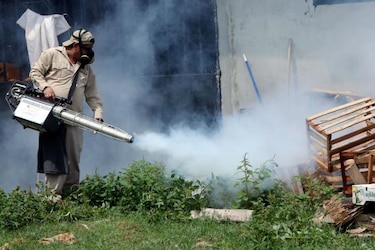 En lo que va de 2014 mueren más personas por dengue que en todo 2013