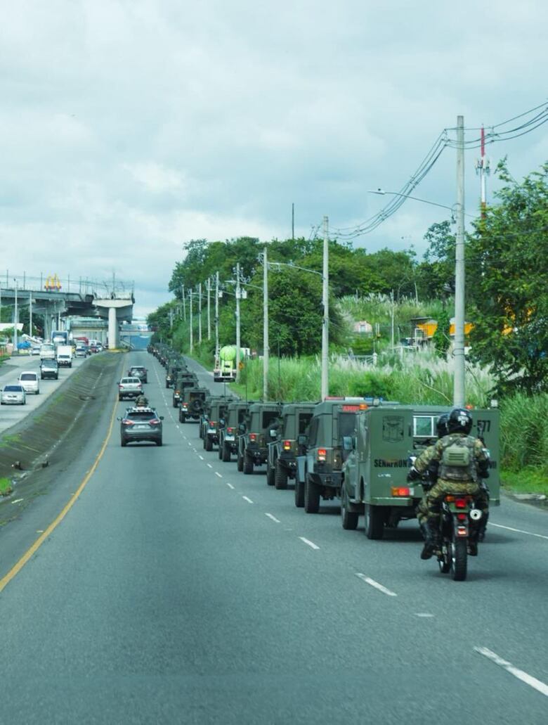Operación Panamá 3.0: van 148 aprehendidos en las primeras 24 horas
