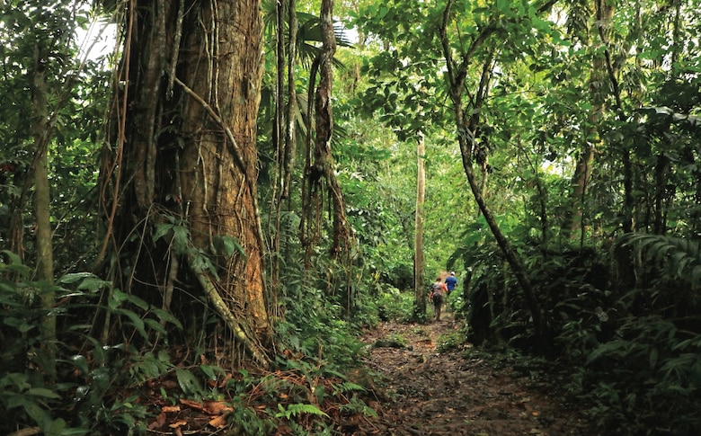 El demonio que sí habita en El Terrón