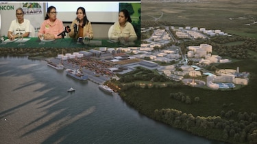 Organizaciones ambientalistas de América Latina denuncian intimidación judicial contra CIAM y Adopta Bosque