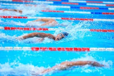Juventud y pasión desbordan el agua en el Campeonato Provincial de Natación