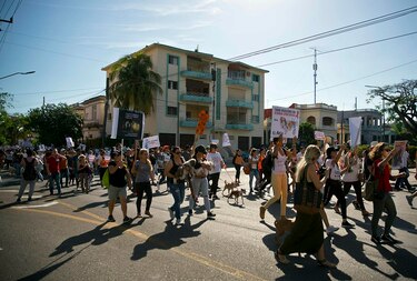 Hecho inédito: Cuba autoriza marcha de un grupo defensor de animales
