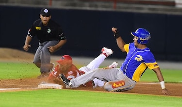 Fedebeis aprueba el uso parcial de la repetición instantánea