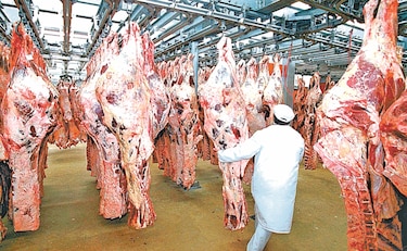  Critican auge en la producción de carne  