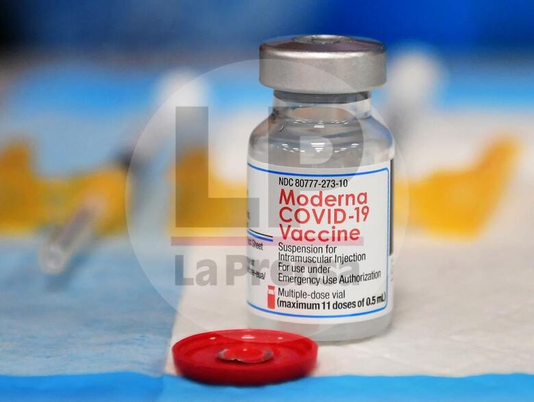 Las zoonosis y el riesgo de nuevas pandemias