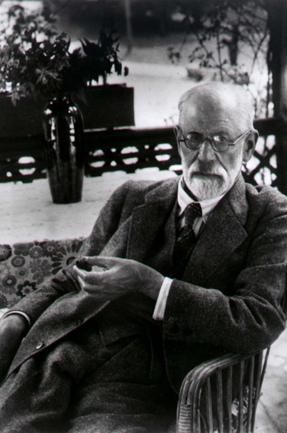 La realidad disminuida