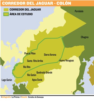 Por el corredor del jaguar