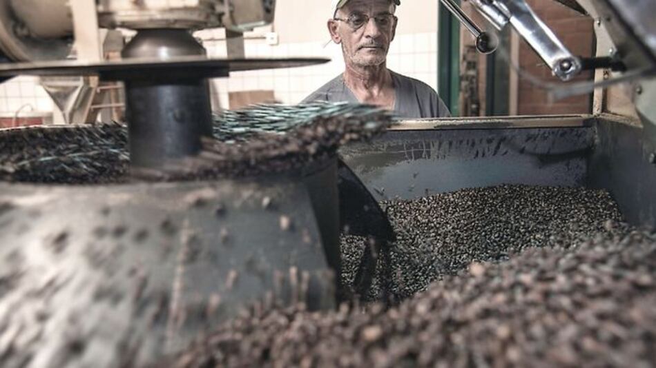 Café arábiga será más caro por clima seco