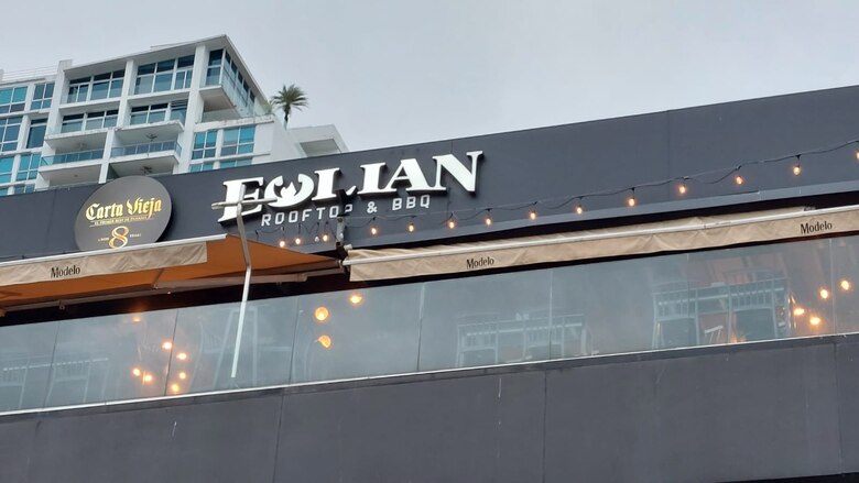 Residentes de Marbella acuden al Consejo Municipal angustiados por ruido de bares y discotecas