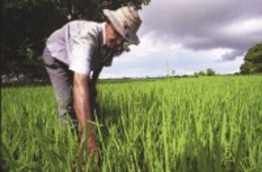 De la tierra para la vida