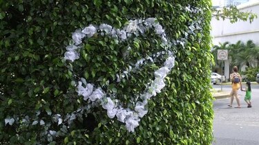 La 'hormona del amor' contrarresta los efectos de la borrachera