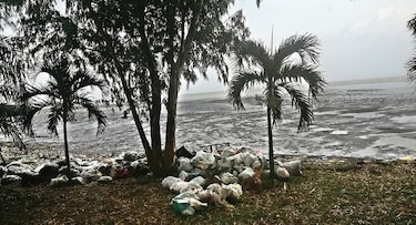 El valor de un parque