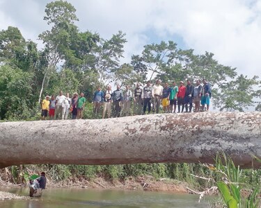 Los ‘gigantes verdes’ del Darién