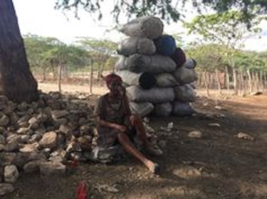 Carbón de leña, el negocio de la vergüenza que genera millones de dólares en Haití y acelera el cambio climático